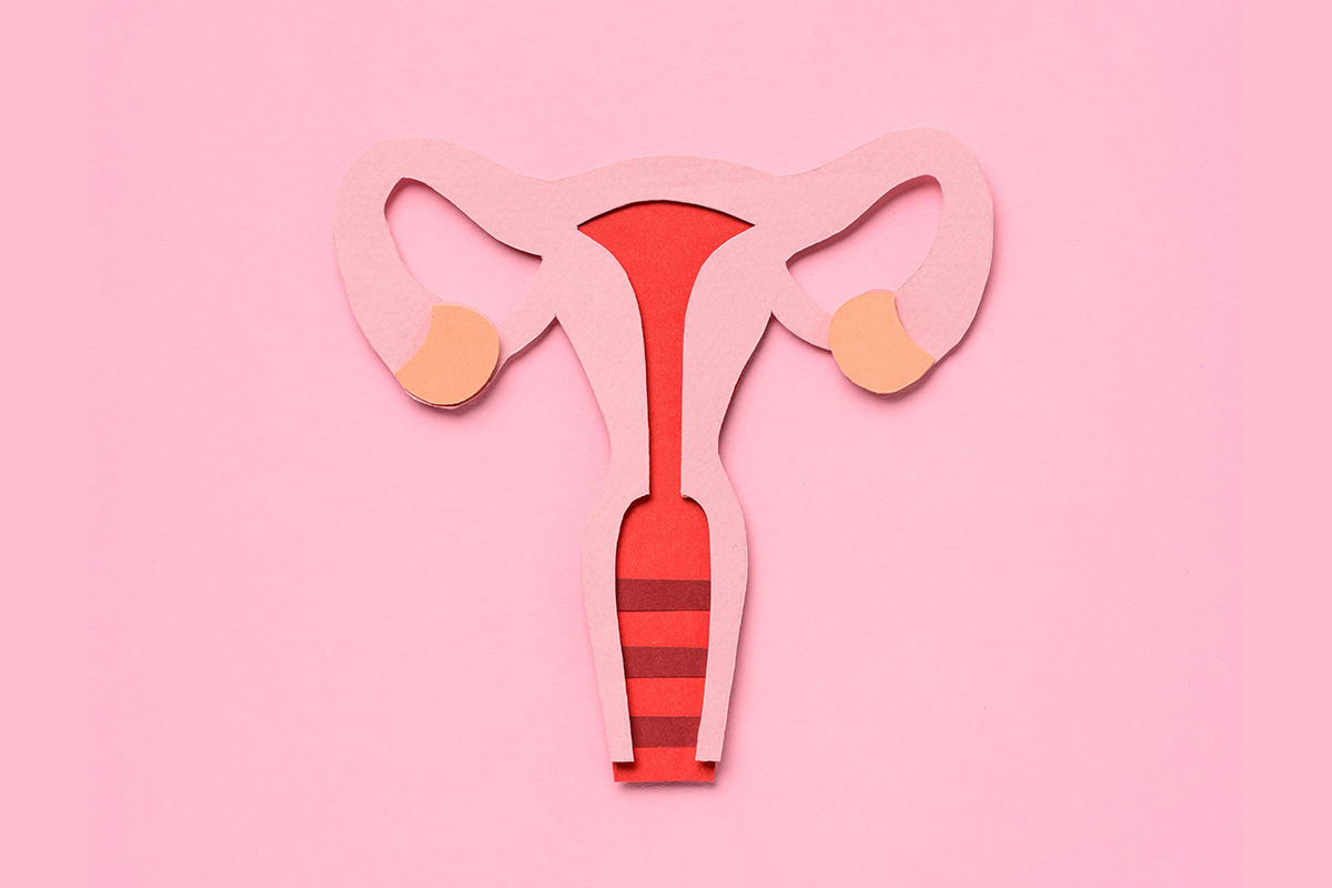 paper uterus on pink background