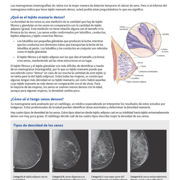Breast Density and Mammograms (Spanish)